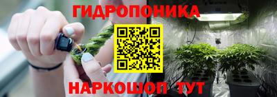 прущие грибы Севастополь